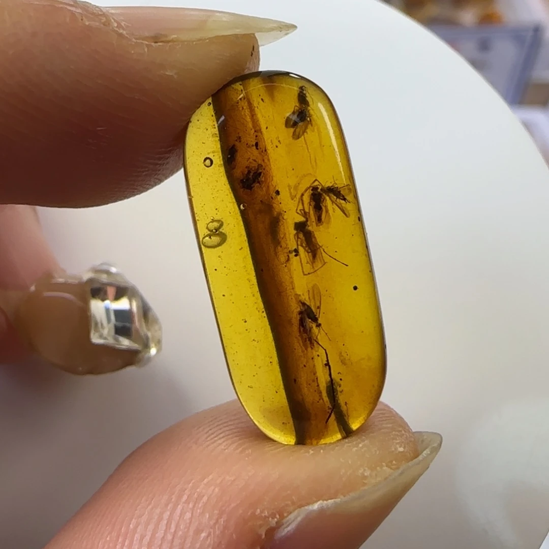 琥珀裸石未镶嵌石蛾