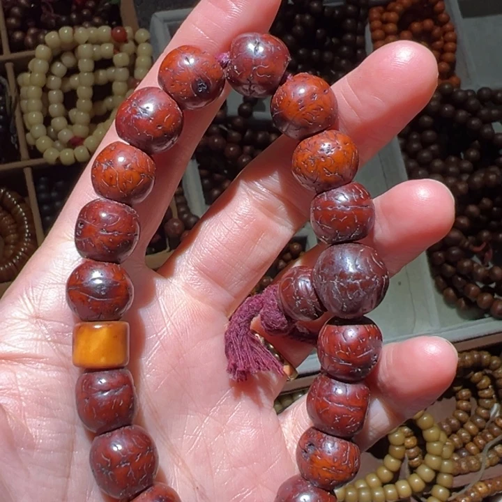 吊坠菩提根/象牙果