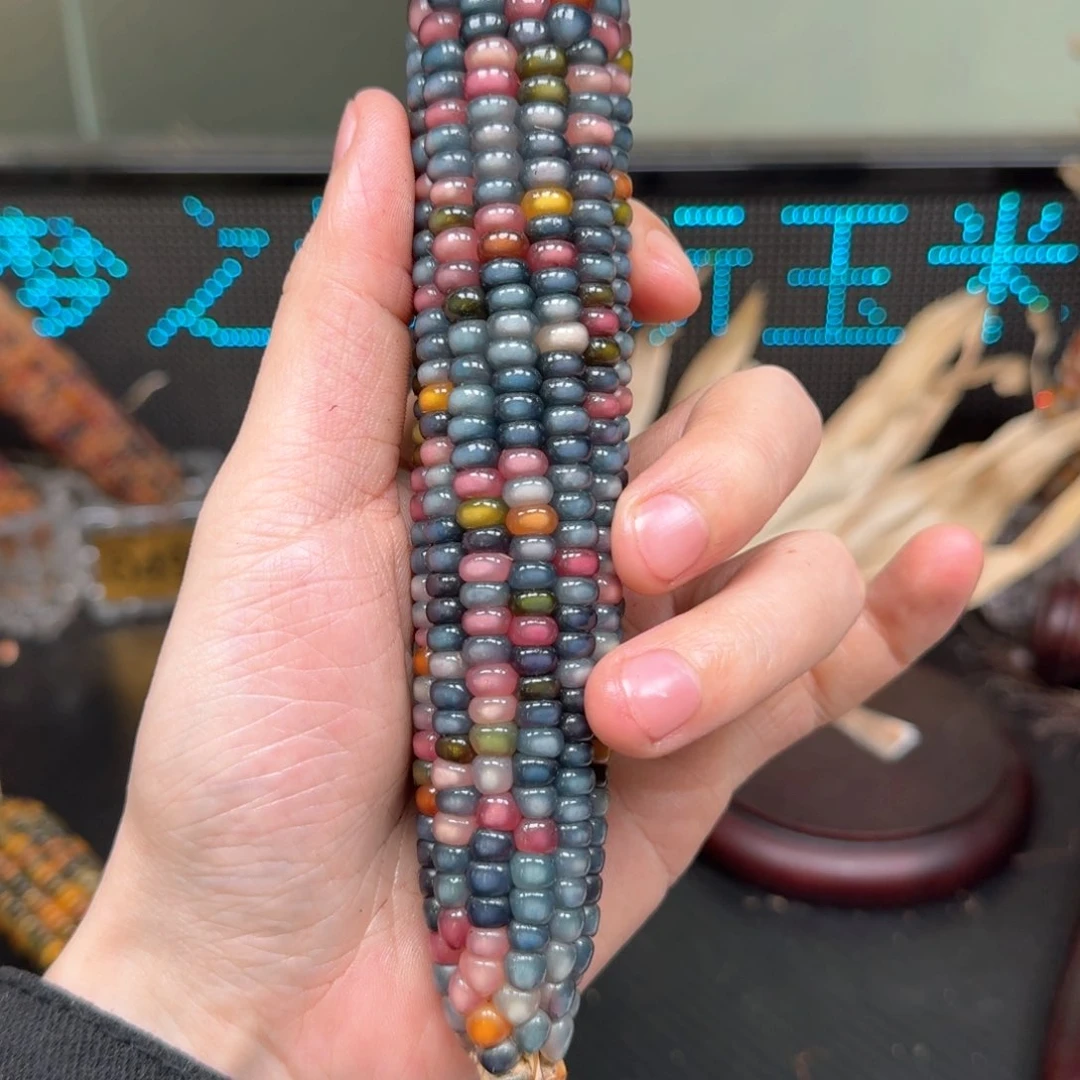 柏香籽/百香籽吊坠柚***檬