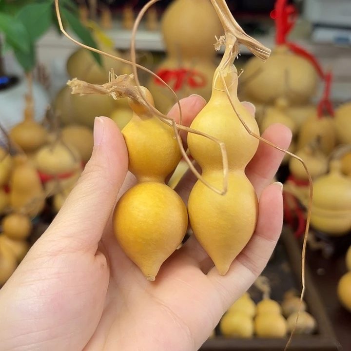 花****精品小蚂蚁肚葫芦