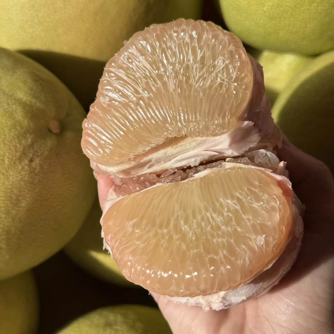 【爆甜】福建仙游度尾文旦柚老树现摘新鲜红心蜜柚子当季孕妇水果