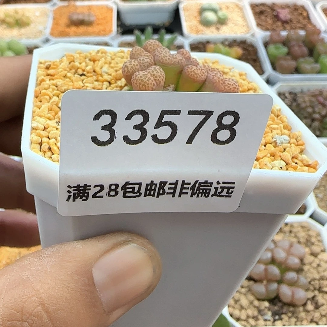 雪***?哈哈哈哈哈33578