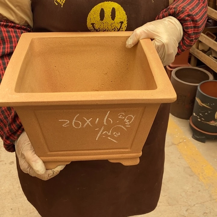 花盆紫砂只顾看电视