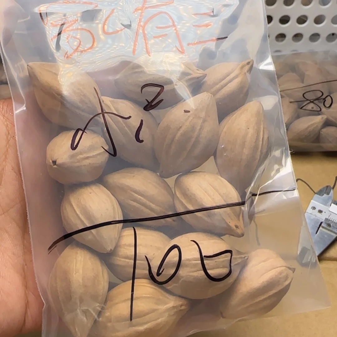 【闪购商品】橄榄核手串/手链家***只111111111