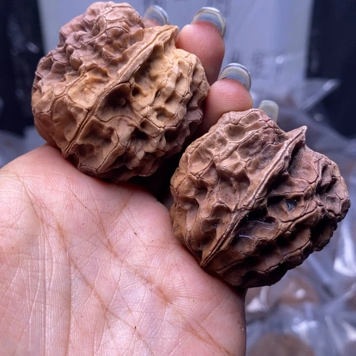 文玩核桃把件云南野生铁核桃155号42mm