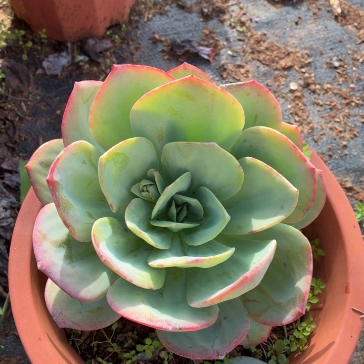 梯***梯白凤。。。。。。。。。。。。。。
