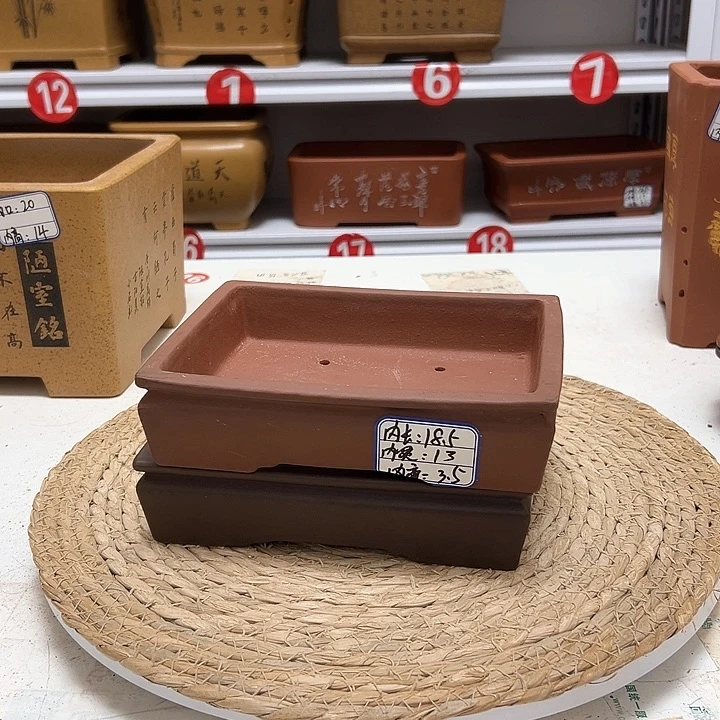 紫砂花盆蛇年大吉