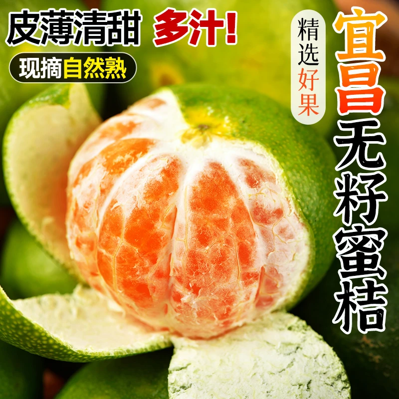 【5斤整箱】新鲜正宗宜昌蜜桔青绿皮薄皮蜜橘子蜜桔子应季水果包邮