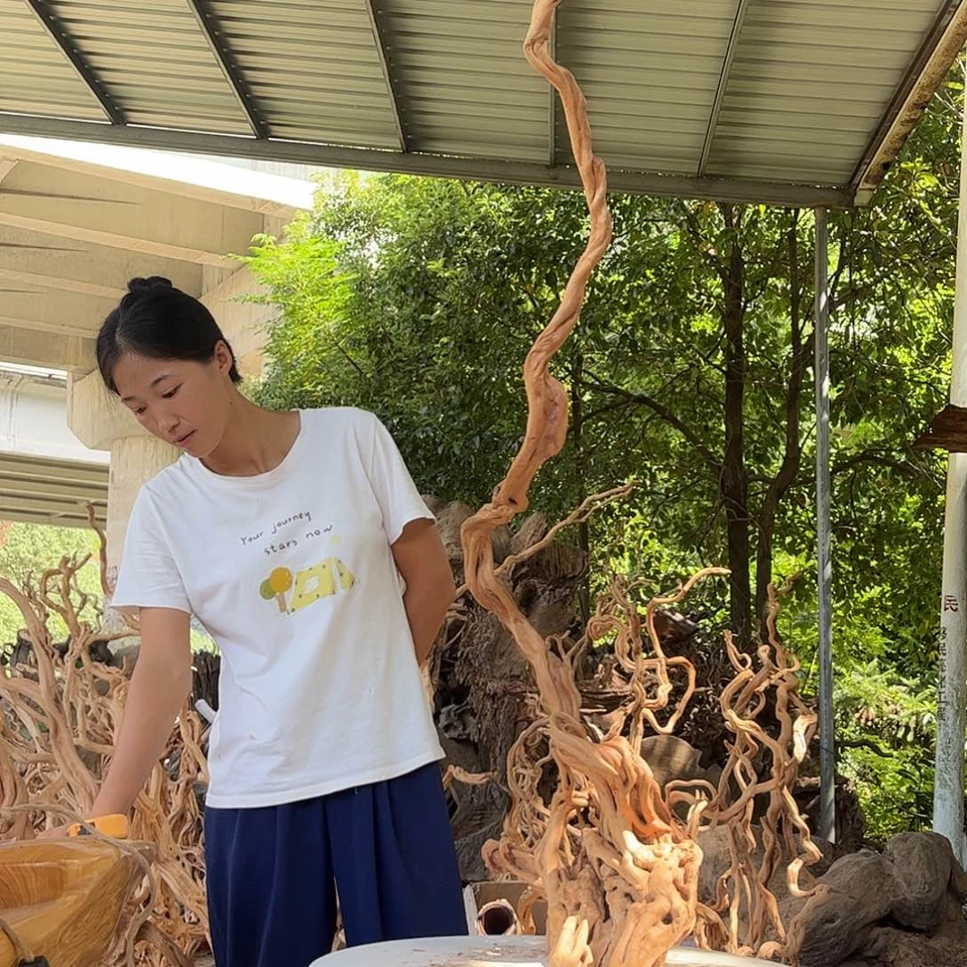 香榧木来来来来来来