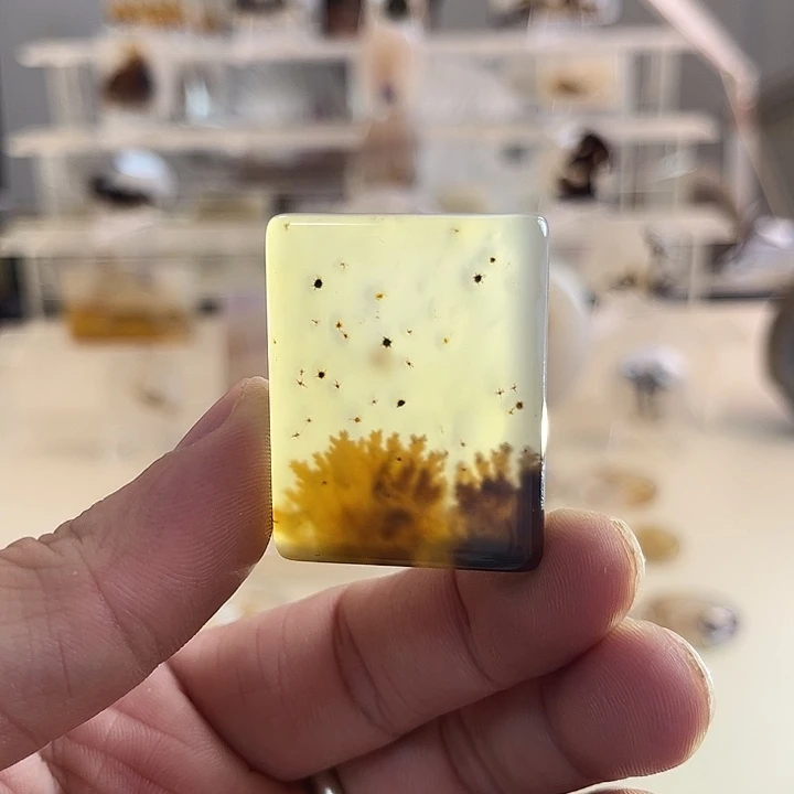 玛瑙/玉髓吊坠(不含链)未镶嵌