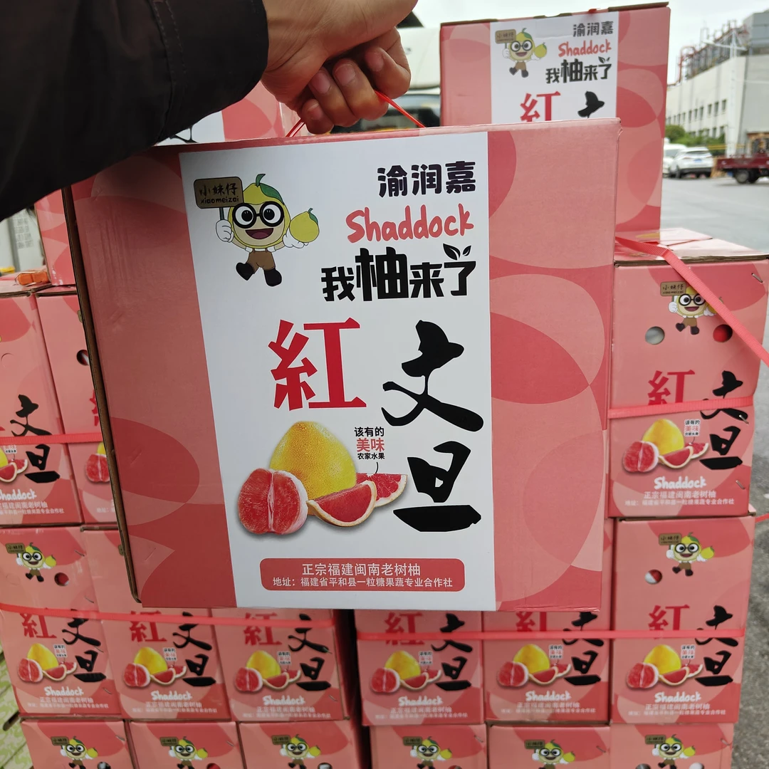【中秋礼盒】红文旦柚水分超足四颗装福建省