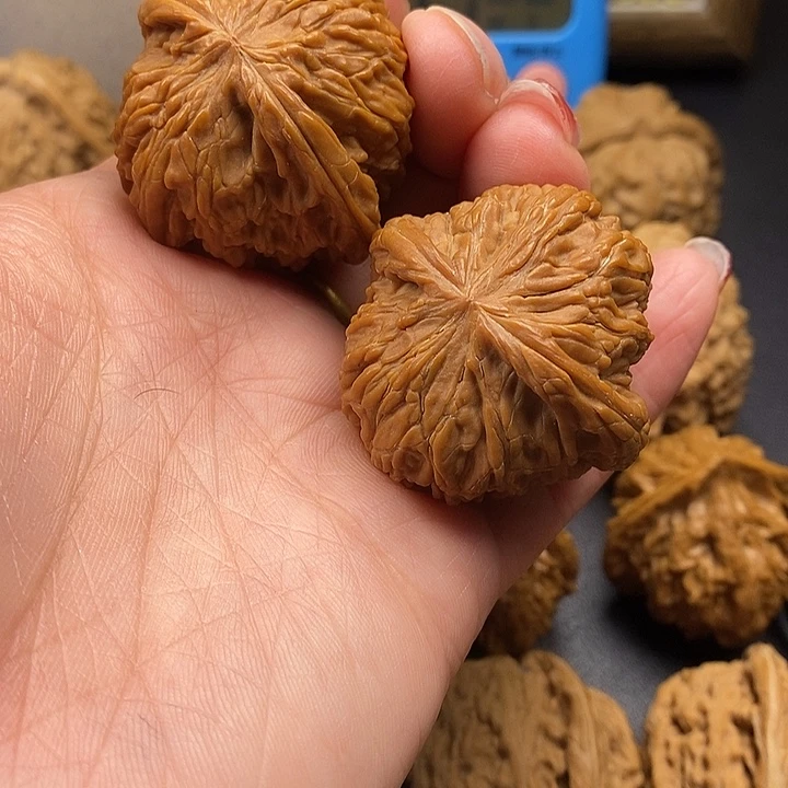 成***-龙脊菩提吊坠磨盘40