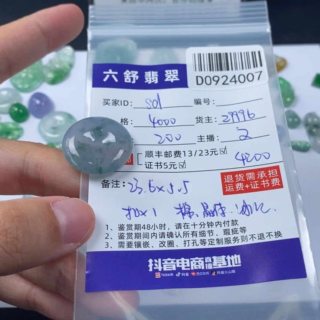 S****未镶嵌挂件翡翠D0924007