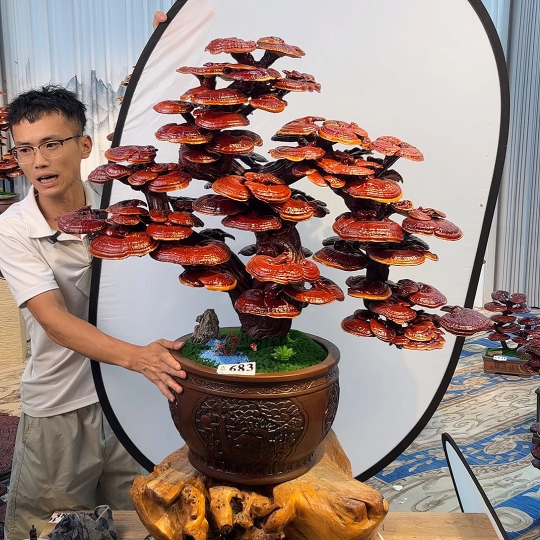 无花朵8888888888888