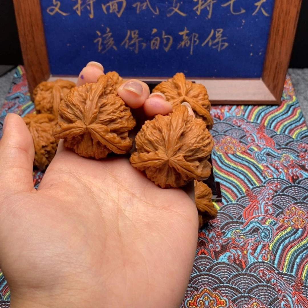 【闪购商品】焰**煌白狮子1111111