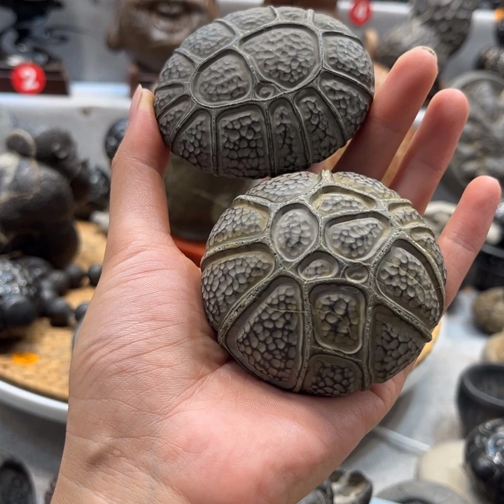 水***寒石材龟纹石小精品