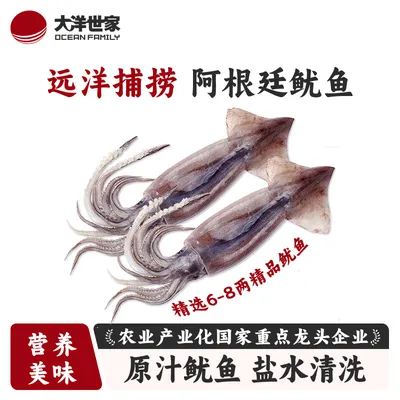 OCEAN FAMILY/大洋世家船冻阿根廷鱿鱼 不添加保水