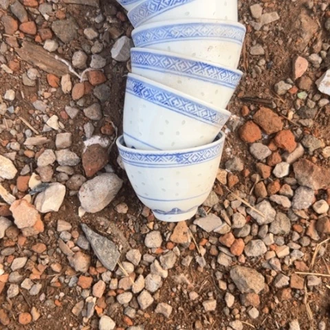 核桃木/黑胡桃（胡桃木）龙