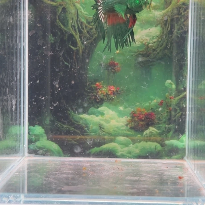 斗鱼那条线我真的