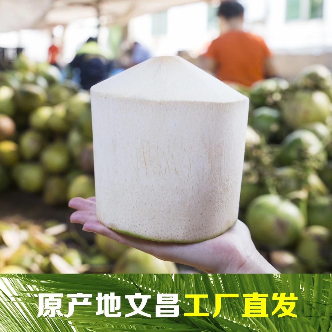 【直播间专享】海南椰青9个装新鲜椰白孕妇水果文昌椰子水椰汁整箱