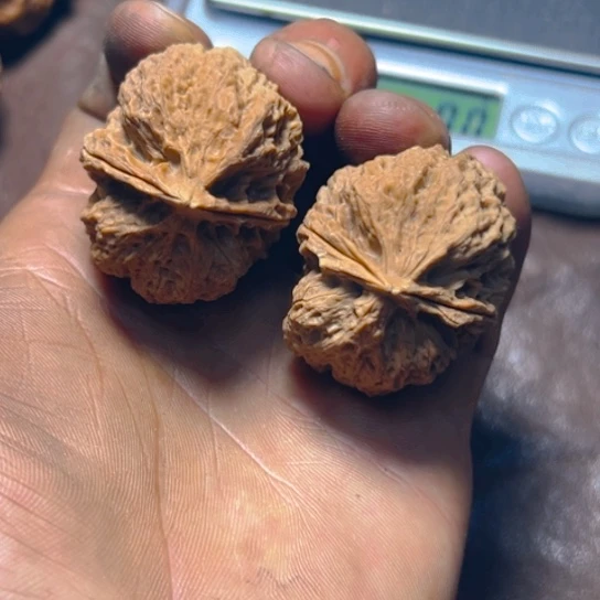 文玩核桃把件卡42珊瑚蟾44号