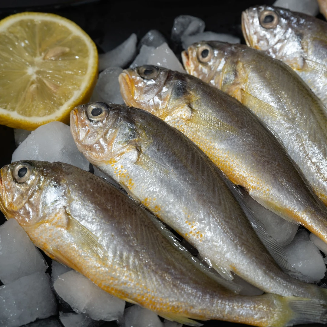 新鲜野生海捕小黄花鱼到手5斤10-11条1斤顺丰冷链冰鲜保护