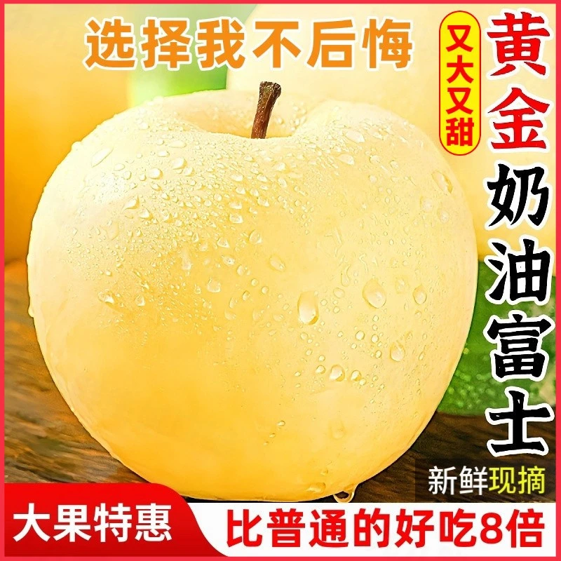 【首单特惠】正宗脆甜奶油富士苹果山东烟台果农自种冰糖心黄苹果