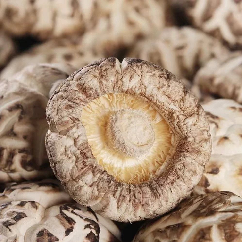 新鲜干货香菇花菇干货干香菇蘑菇小香菇500G菌菇干货菇冬菇