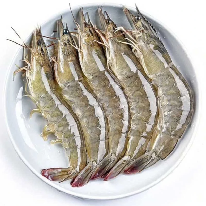 【一霏】3040海水大虾1斤15-18只左右 大个海虾 3.2斤到手46-55只