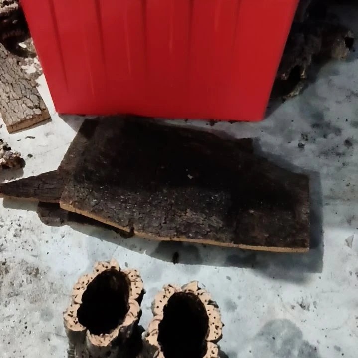 艳***兰一物一拍一物一发