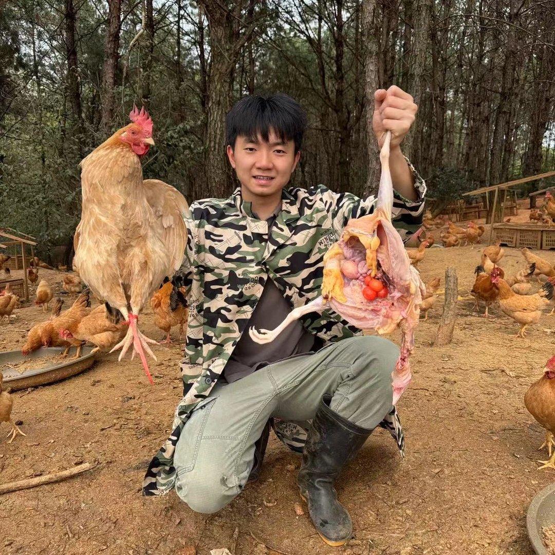 大脚鸡➕小脚鸡【6个月】丛树林散养土鸡 -顺丰快递冷链发货