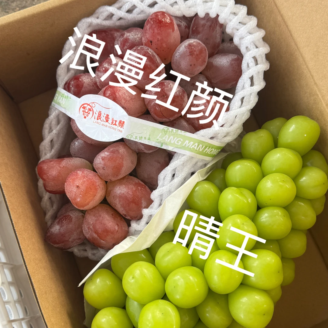 【马陆葡萄浪漫红颜晴王双拼】当季水果新鲜发货礼盒包装皇后