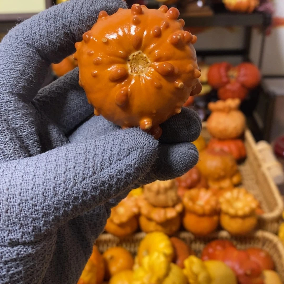 @***饭福利不退换2255555555556666