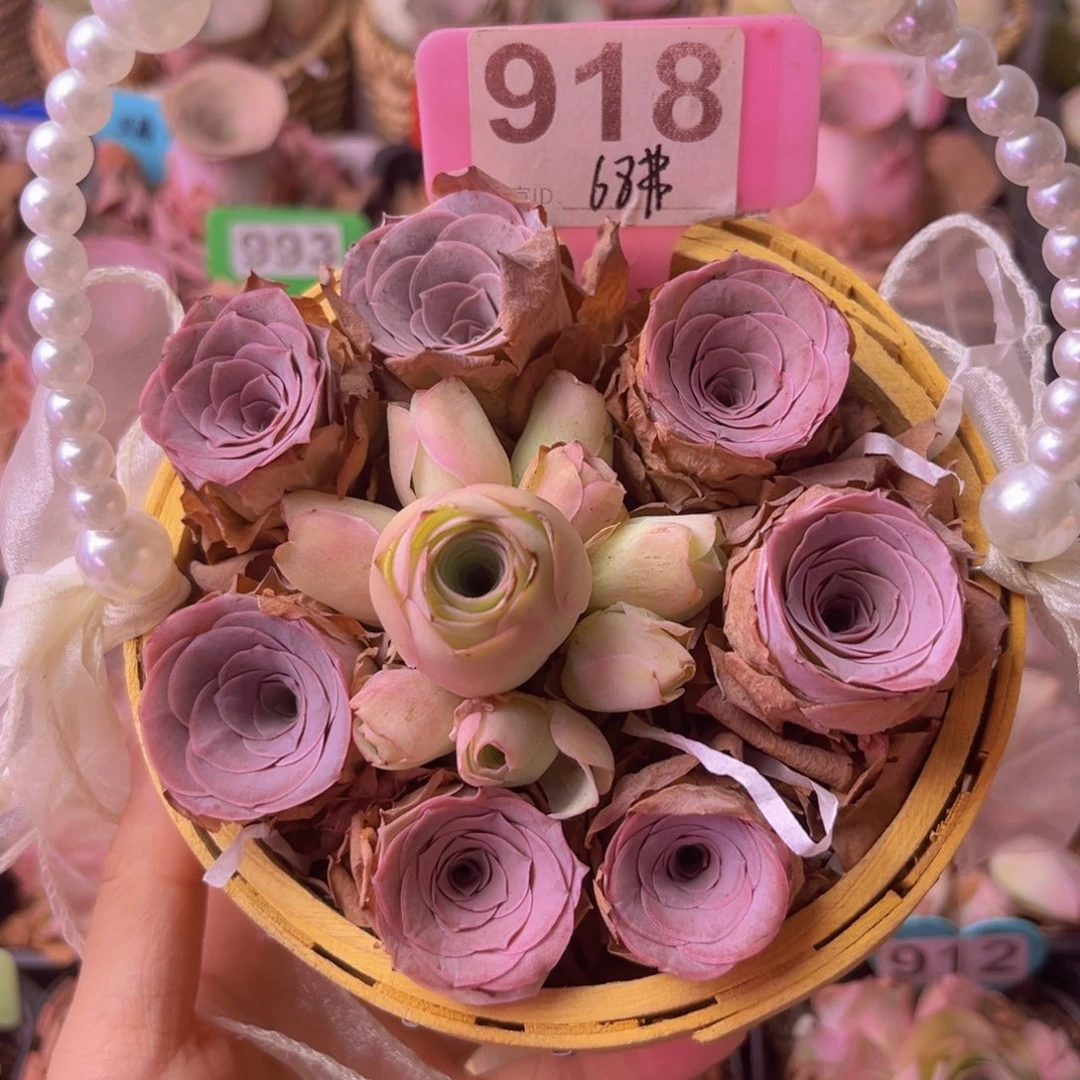 山地玫瑰一物一拍918