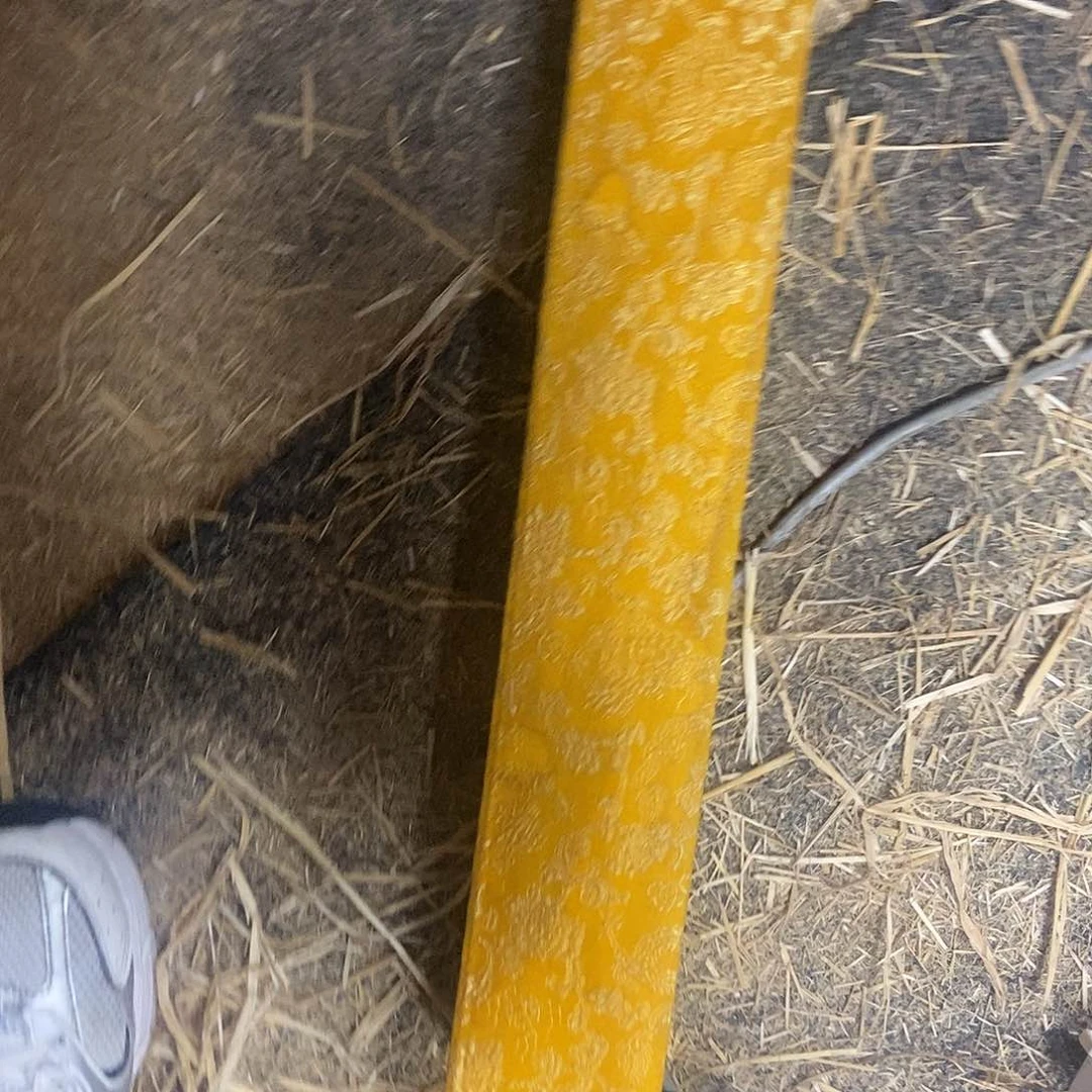 有机玻璃晚上吃什么呢，晚上吃什么饭呀。