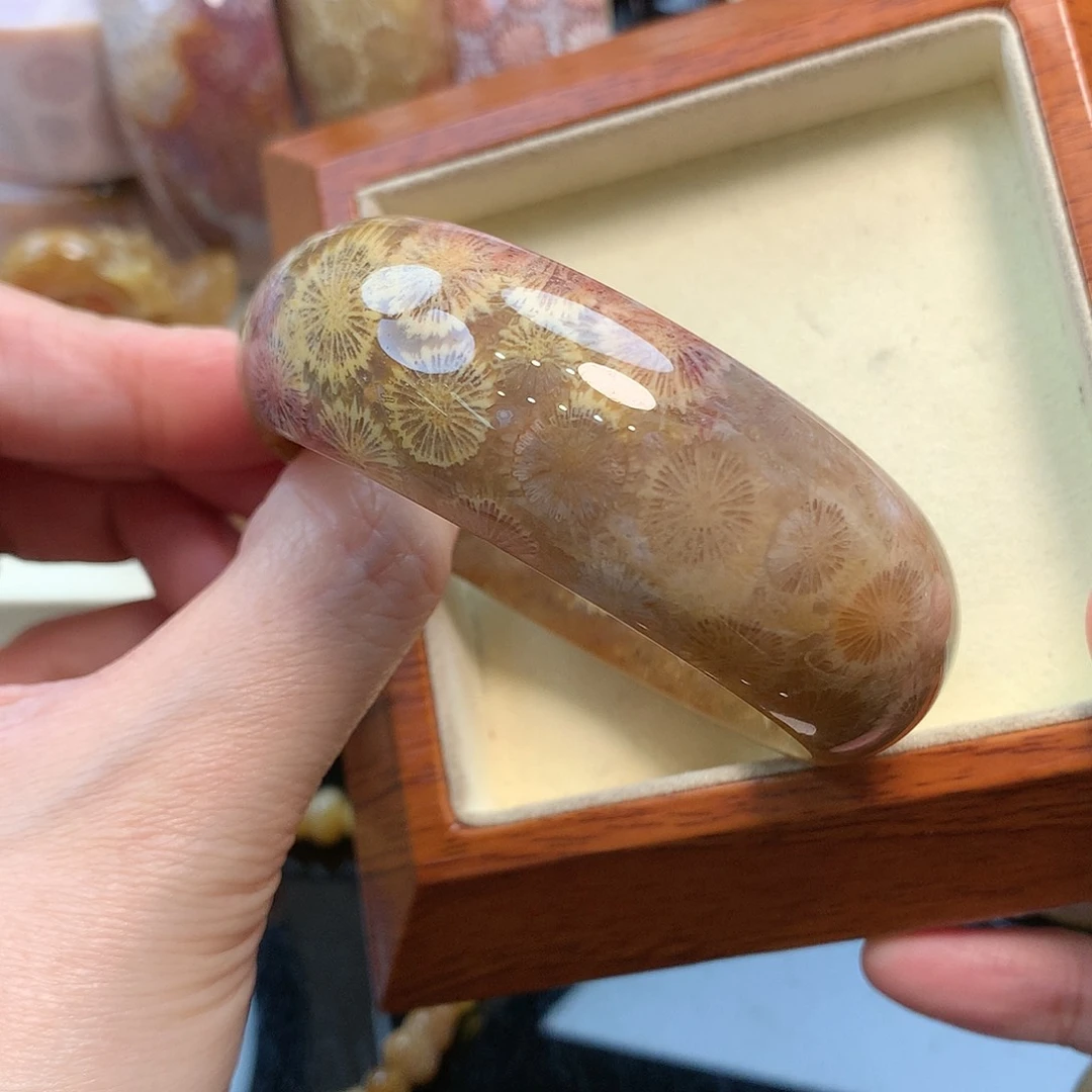 未镶嵌手镯硅化珊瑚（珊瑚玉）56.3口800