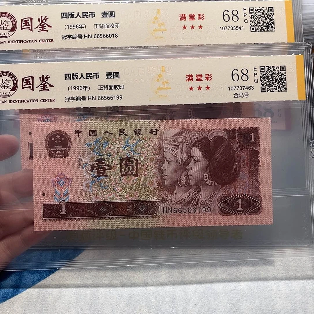 66566018：6199。。。。金马