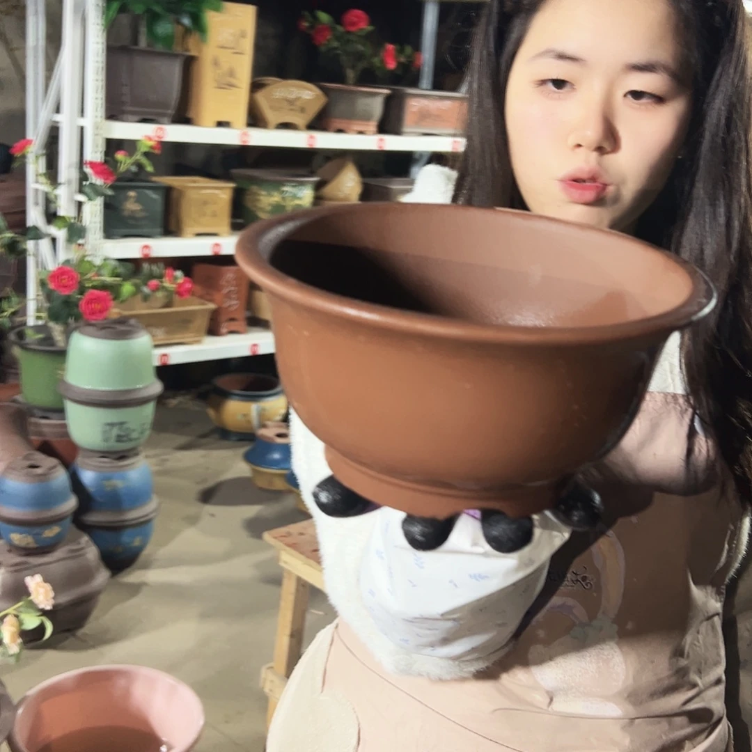 21查林小碗花盆花盆