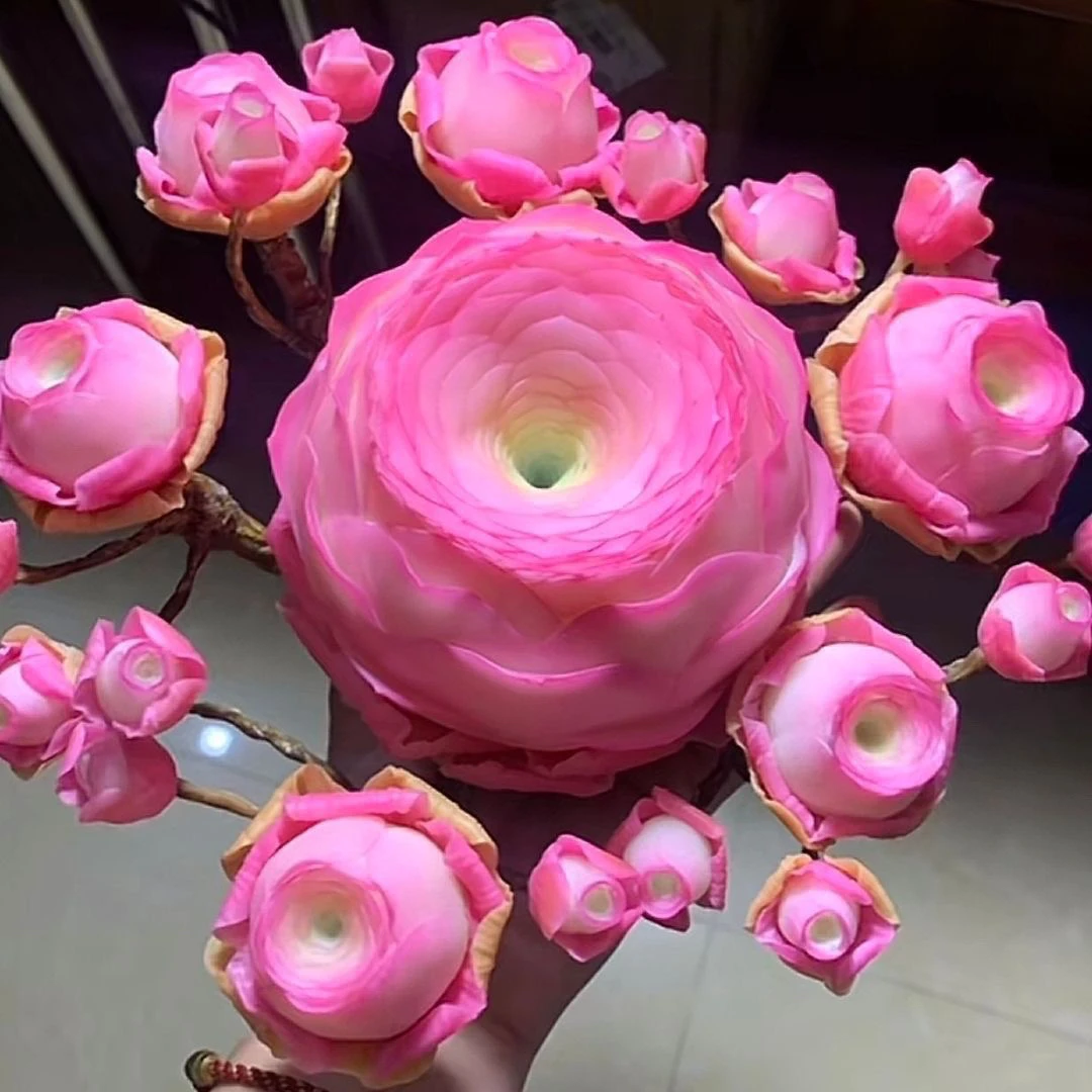 胭脂粉山地玫瑰多肉断1-2枝条不售后