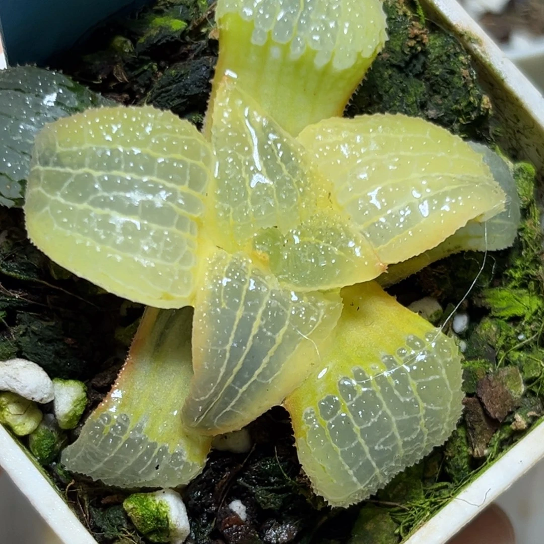 恭喜发财大吉大利899