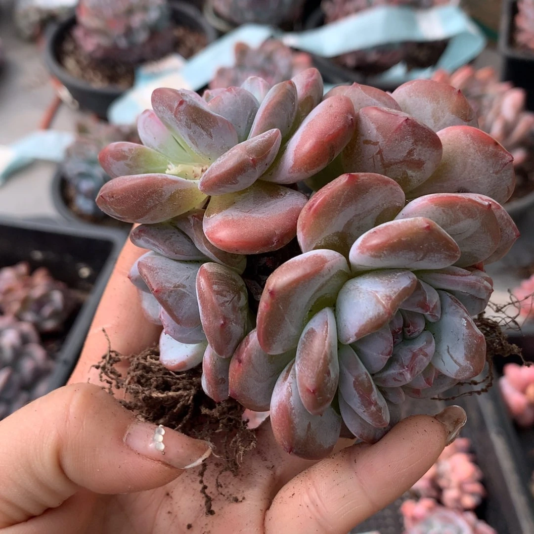 哈哈哈哈哈哈哈哈哈哈