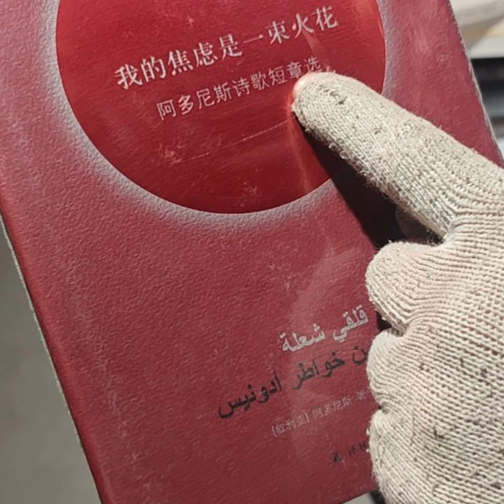 我的焦虑是一处火花精装塑封