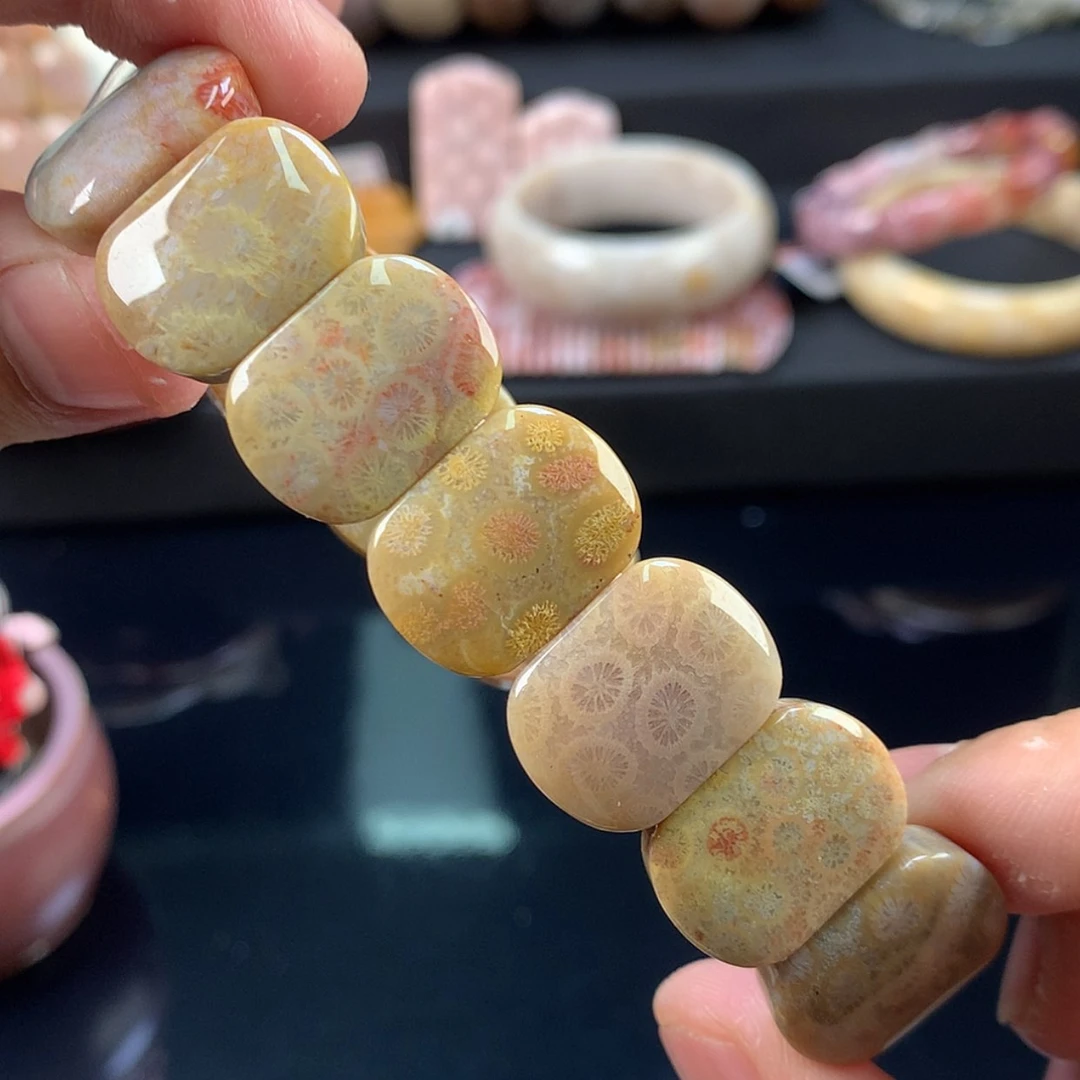 【闪购商品】硅化珊瑚（珊瑚玉）未镶嵌颈饰9号
