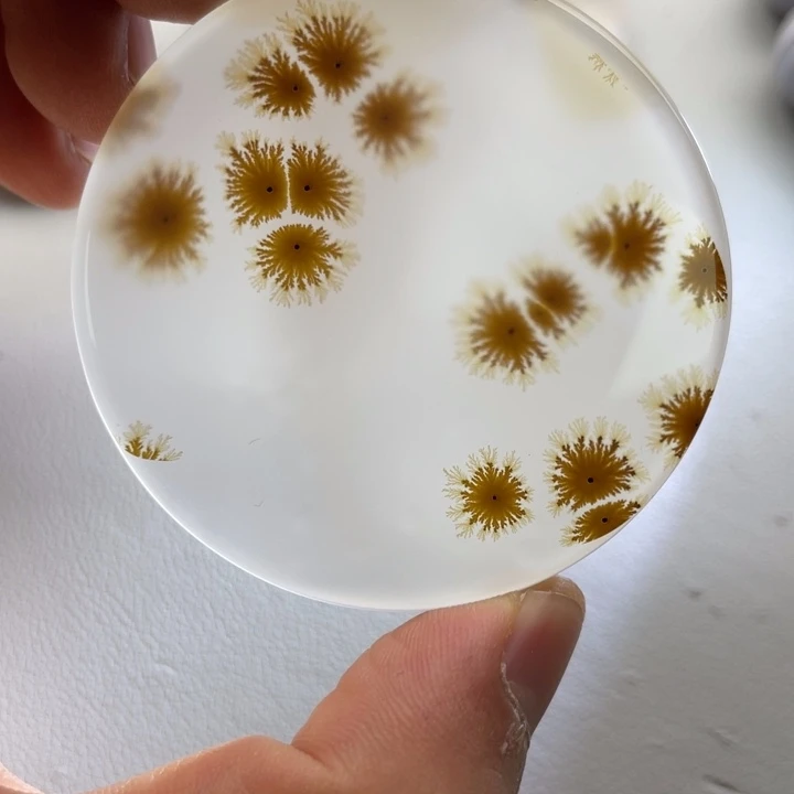 玛瑙/玉髓颈饰未镶嵌好****5