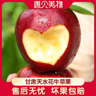 【遇见美物】甘肃天水花牛苹果4.5斤11-13个/9-10个