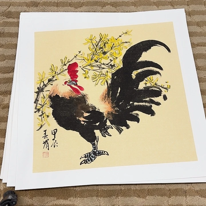 国画花鸟的翅膀和翅膀50.50