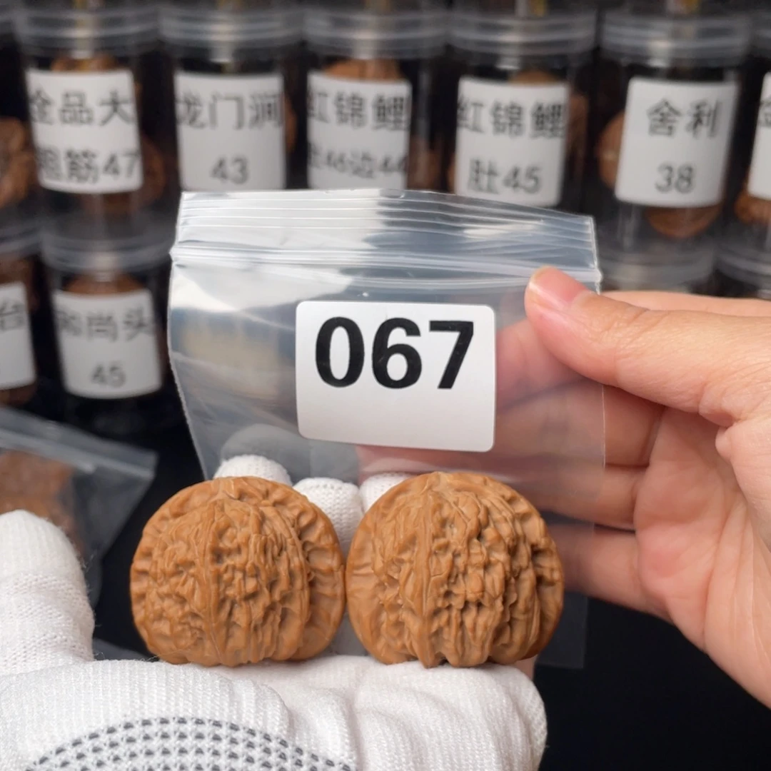 把件文玩核桃43白狮子