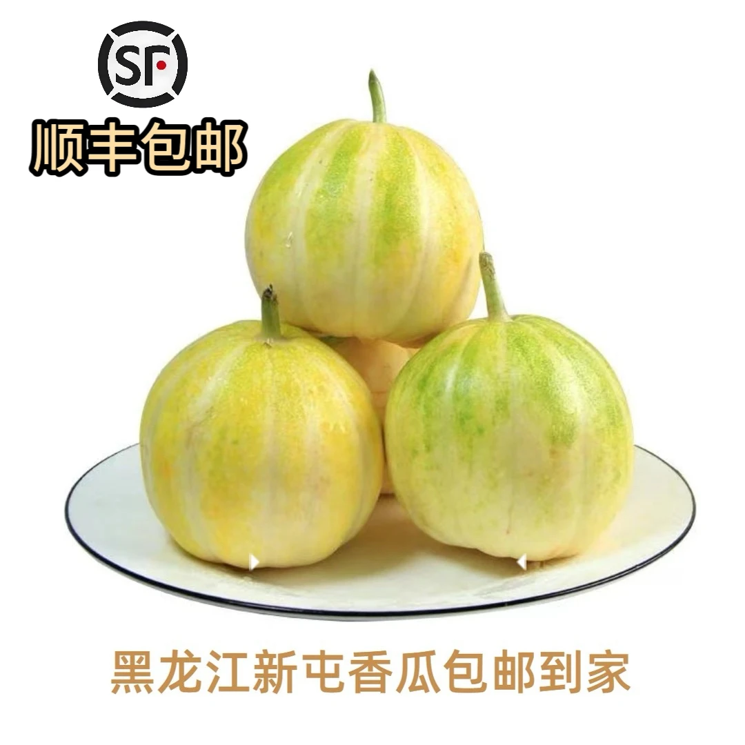 东北甜香瓜现摘现发香甜肉质美味果园直供顺丰包邮