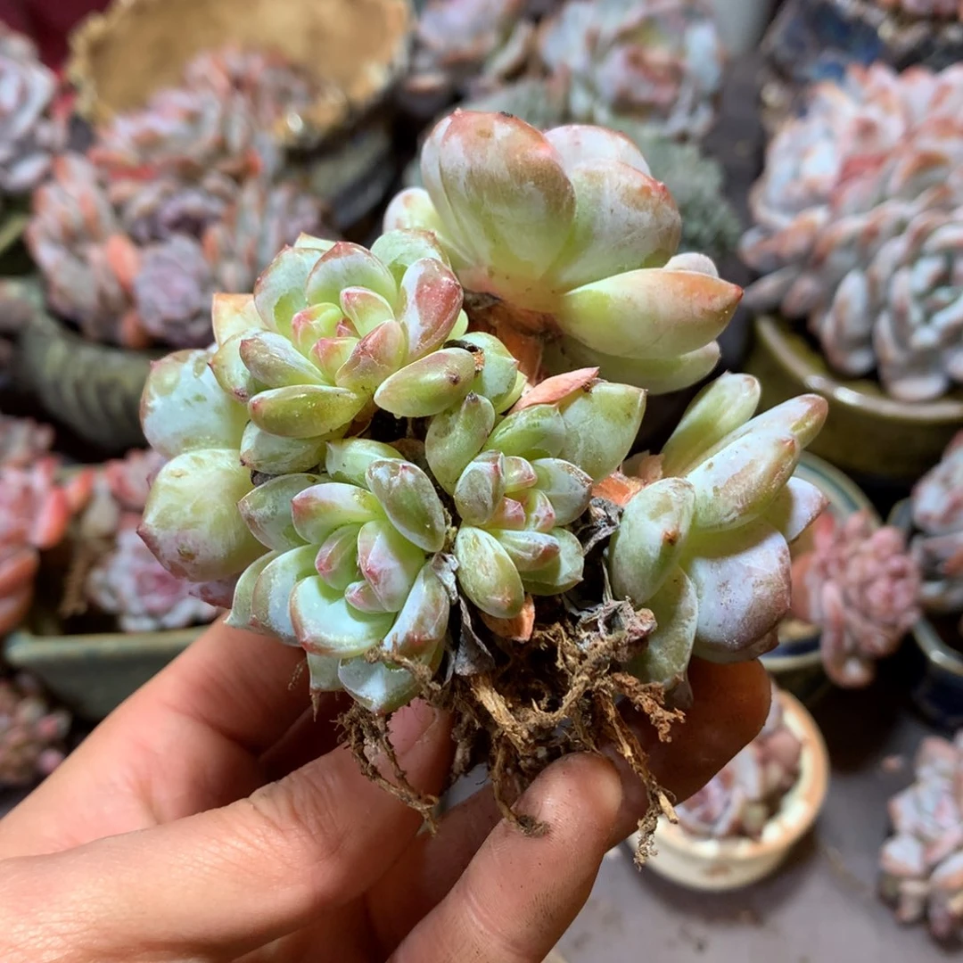 哈哈哈哈哈哈哈哈哈