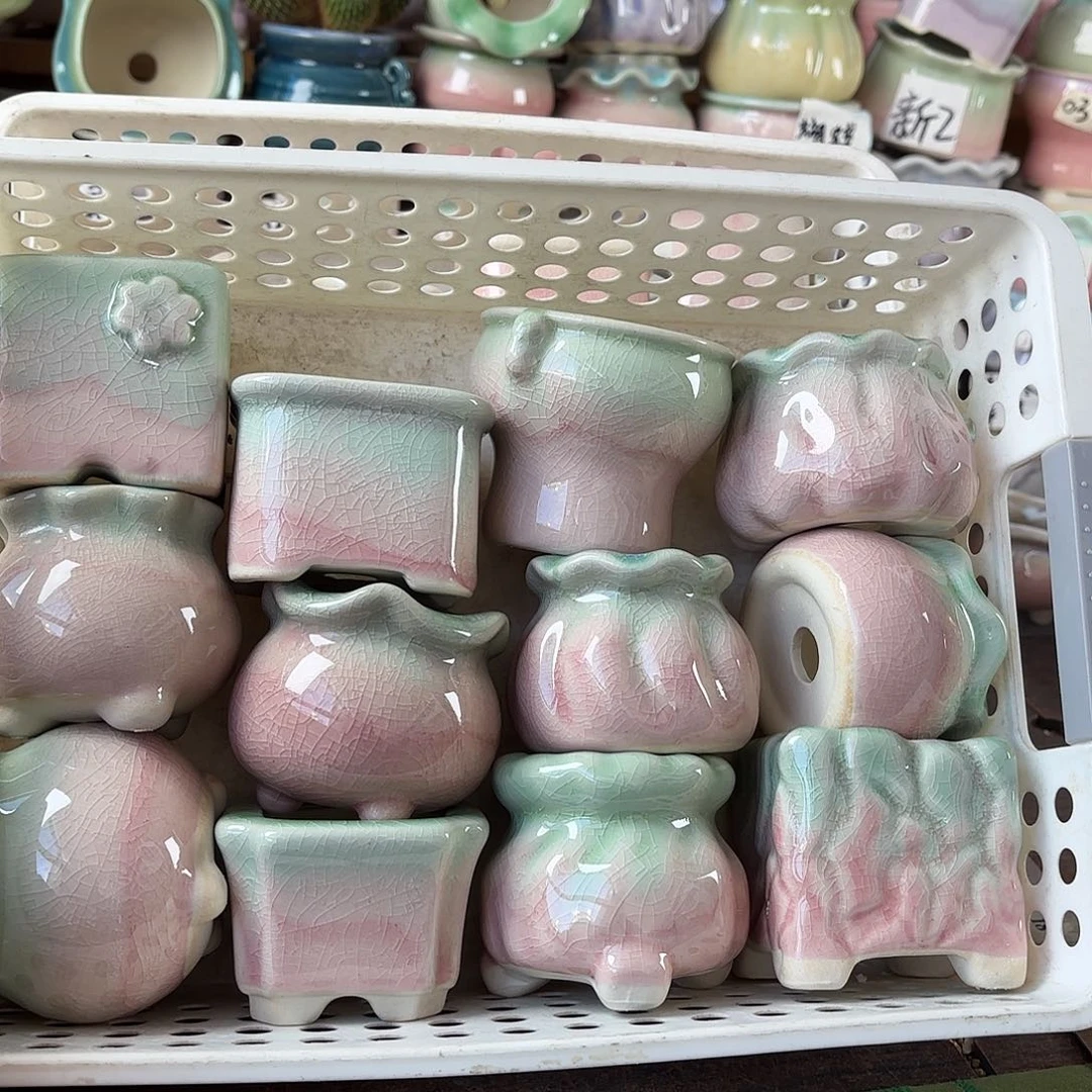 量货/4-5口高深浅搭配发12